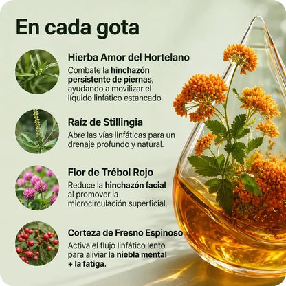 Drenaje Linfático Venora — Gotas Naturales
