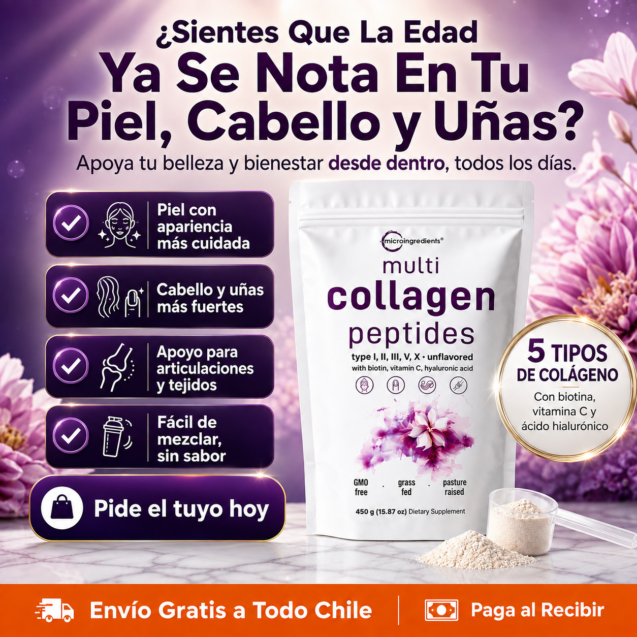 Multi Colágeno – Piel, Cabello, Uñas y Articulaciones | 5 Tipos de Colágeno