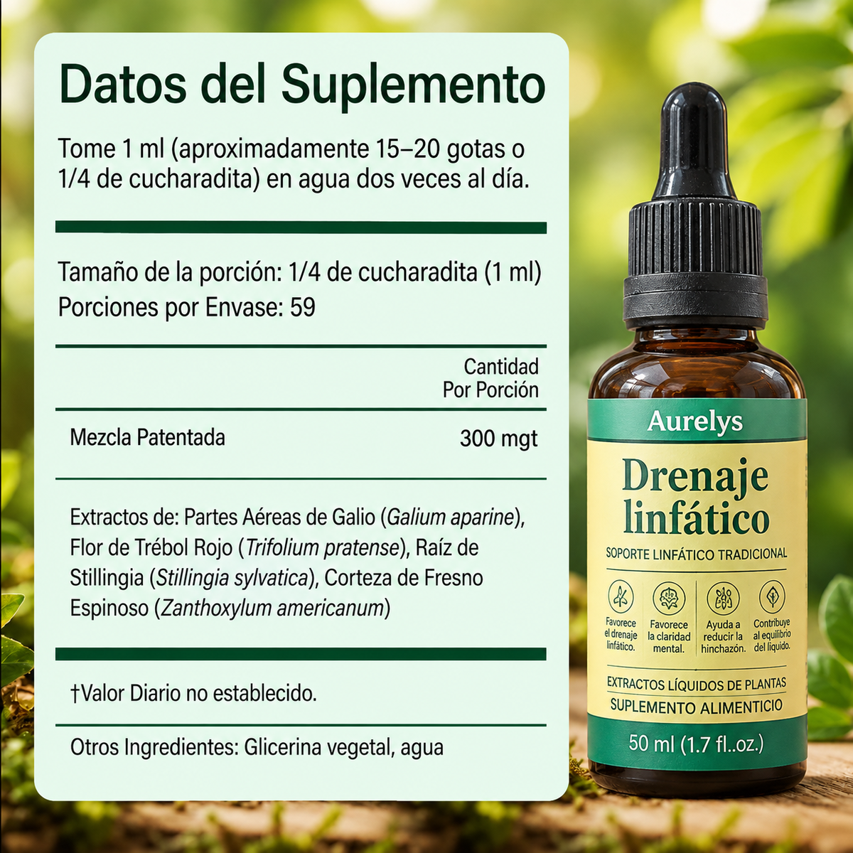 Drenaje Linfático Venora — Gotas Naturales