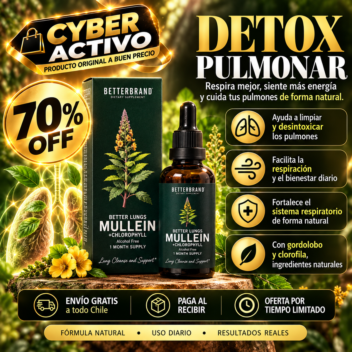 🌿 Betterbrand Gordolobo + Clorofila 60 ml - Apoyo respiratorio 🫁