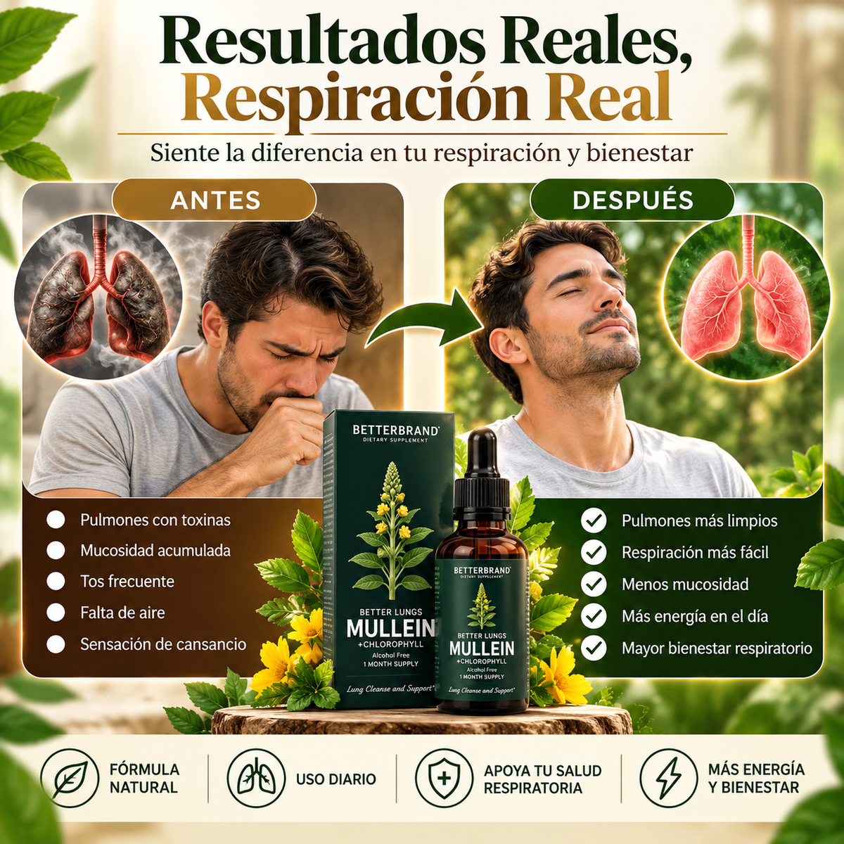 🌿 Betterbrand Gordolobo + Clorofila 60 ml - Apoyo respiratorio 🫁