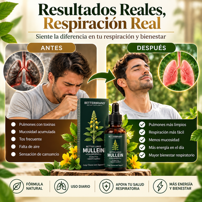 🌿 Betterbrand Gordolobo + Clorofila 60 ml - Apoyo respiratorio 🫁